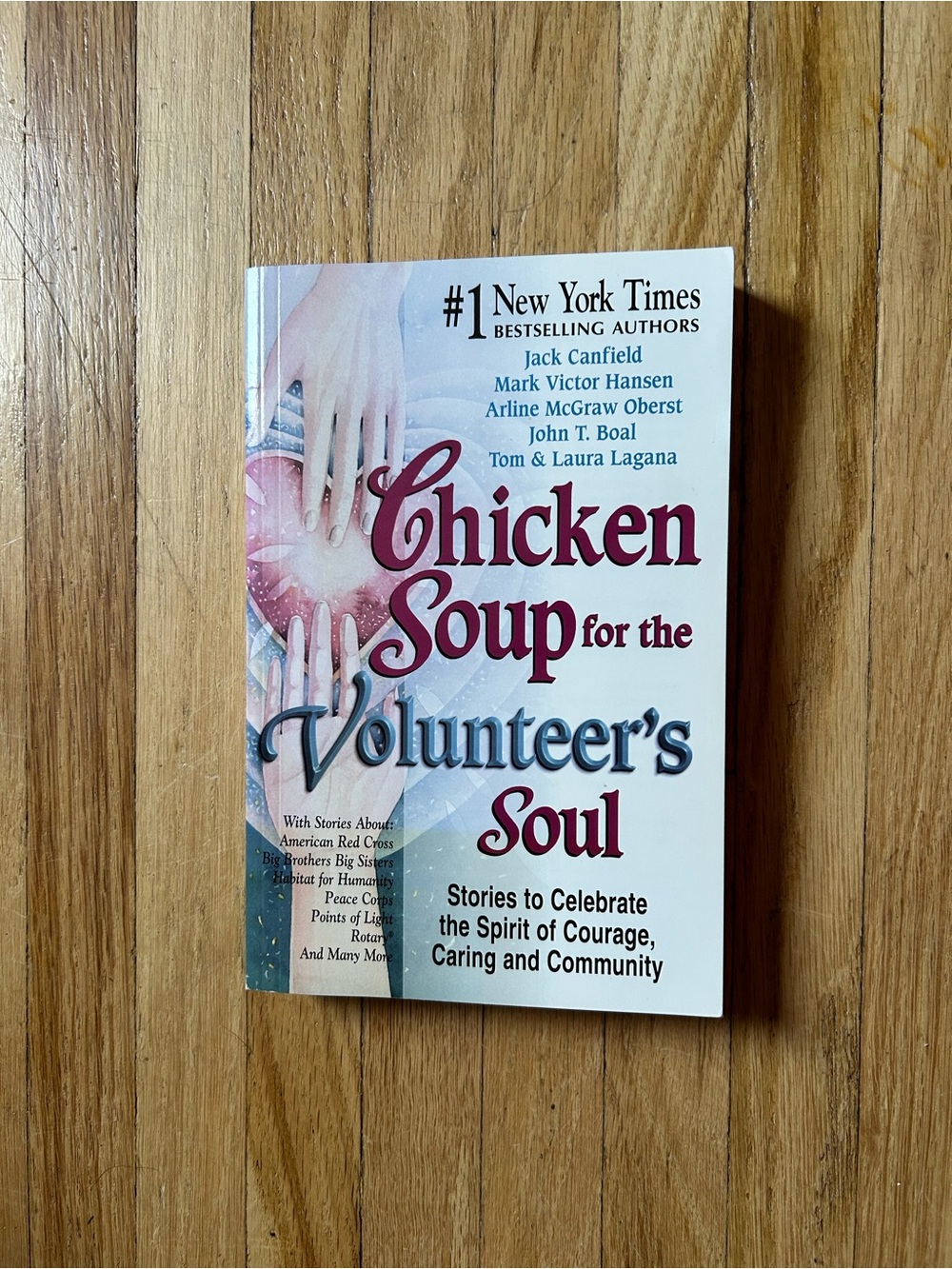 Chicken Soup for the Volunteer's Soul by